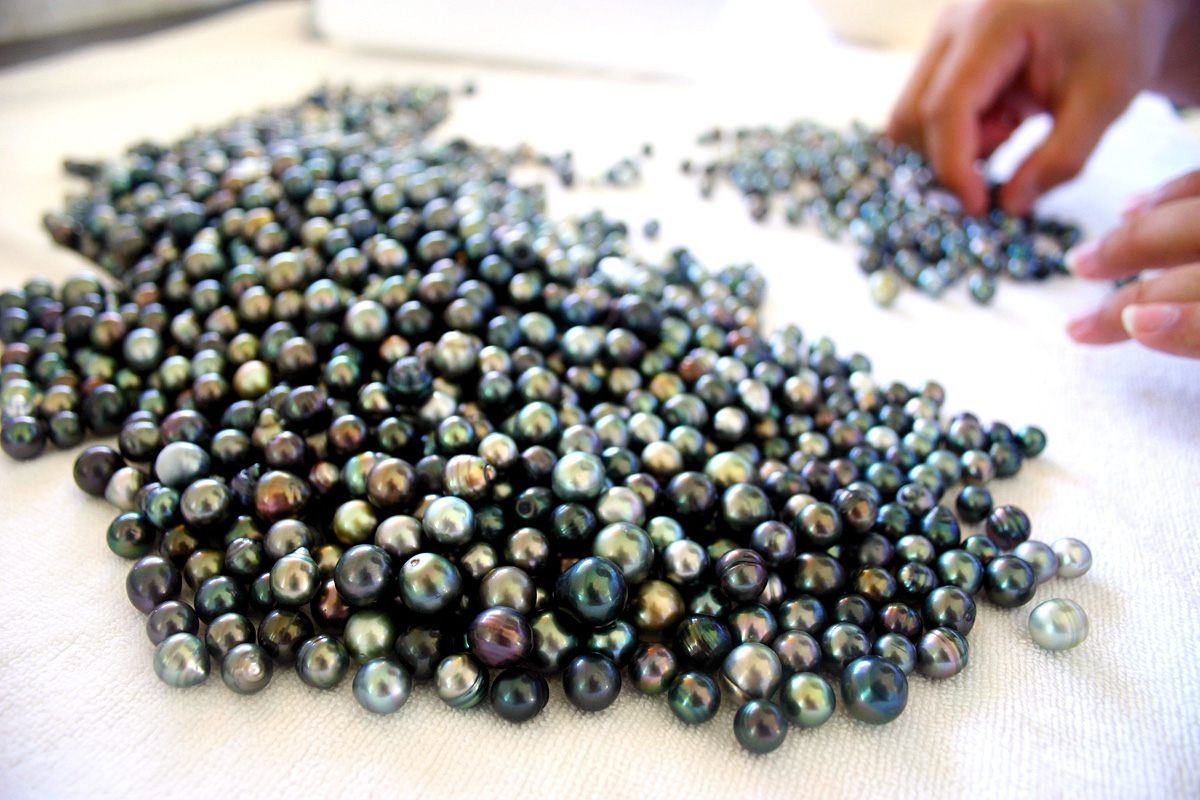 check qualiti of the black pearls from tahiti